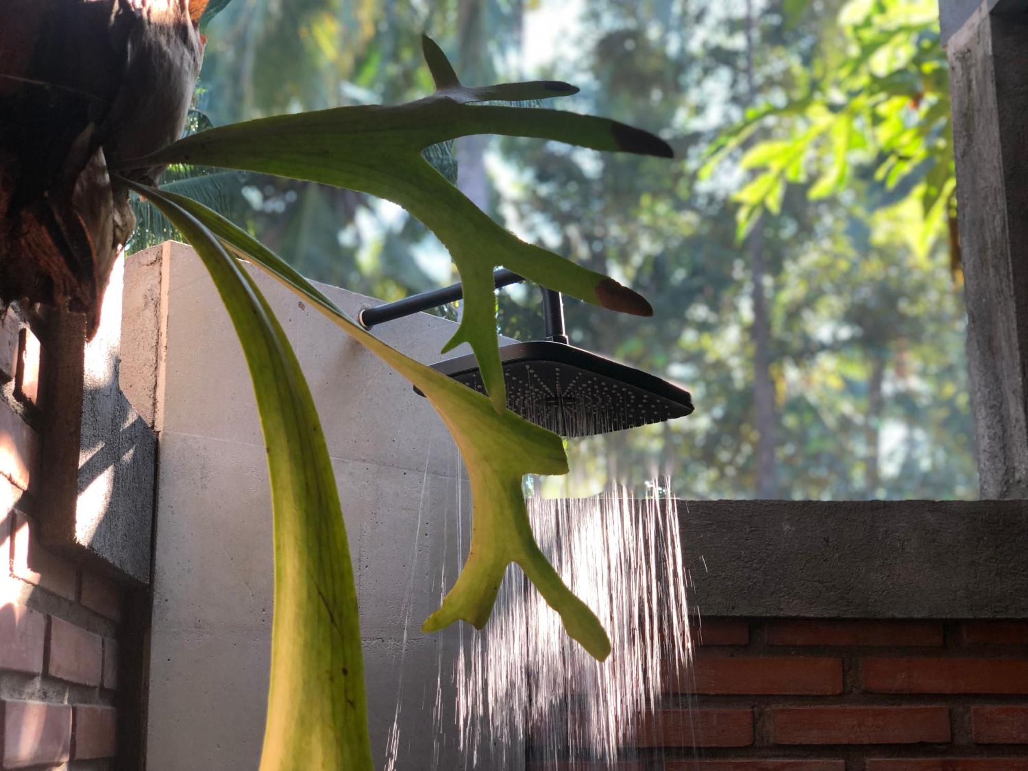 Coco Garden Pool Villas Kubutambahan  Buitenkant foto
